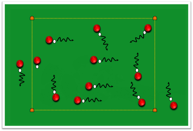 C13