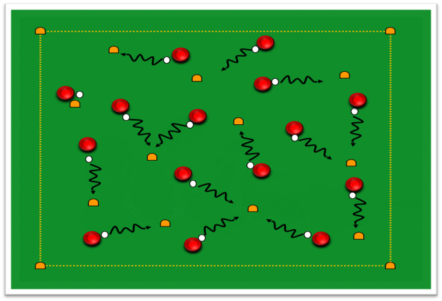 C16