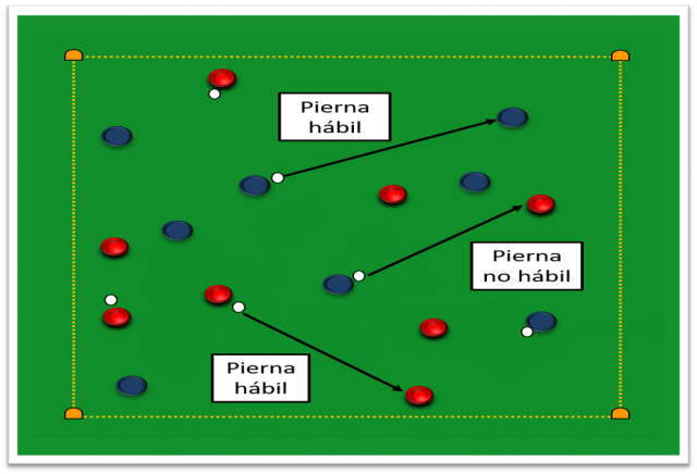 CP4