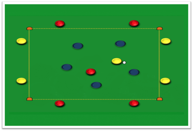 P4.1
