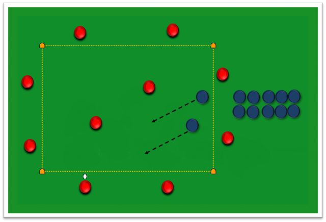 R11