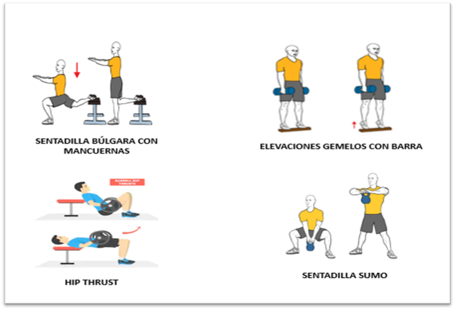 GYM2