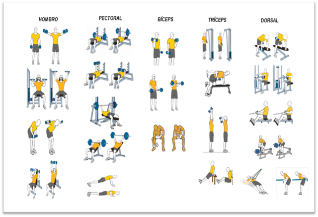 GYM4