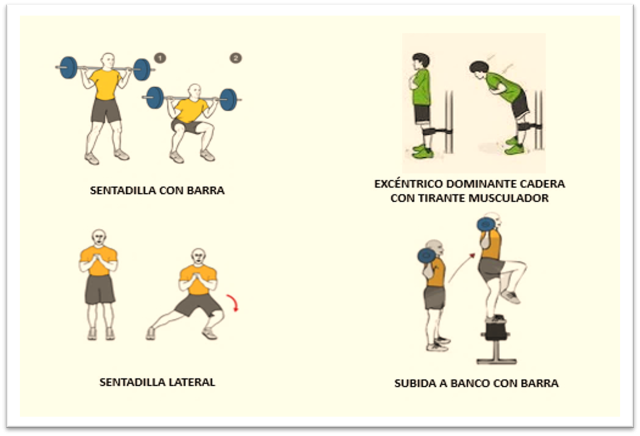 GYM5