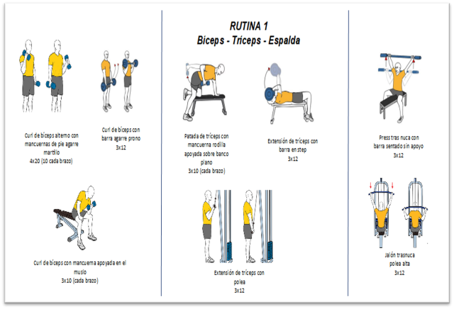 GYM7